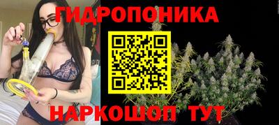 ECSTASY Шелехов