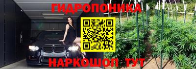 ешки Шебекино
