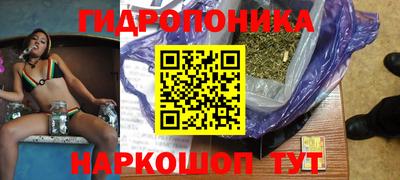 ECSTASY Шелехов