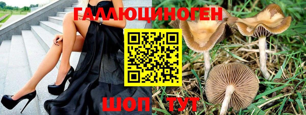 Псилоцибиновые грибы GOLDEN TEACHER  Вход с VPN  Лыткарино  купить наркотик  Псилоцибиновые грибы Psilocybe 